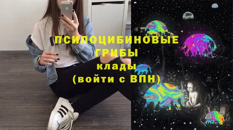 Псилоцибиновые грибы Magic Shrooms  купить  цена  Курганинск 